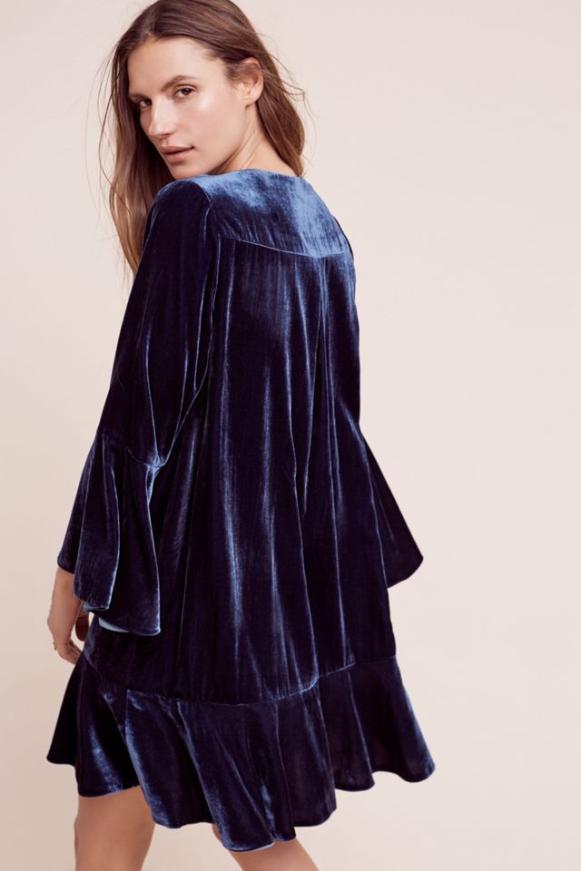 Bellbloom Velvet Shift #2