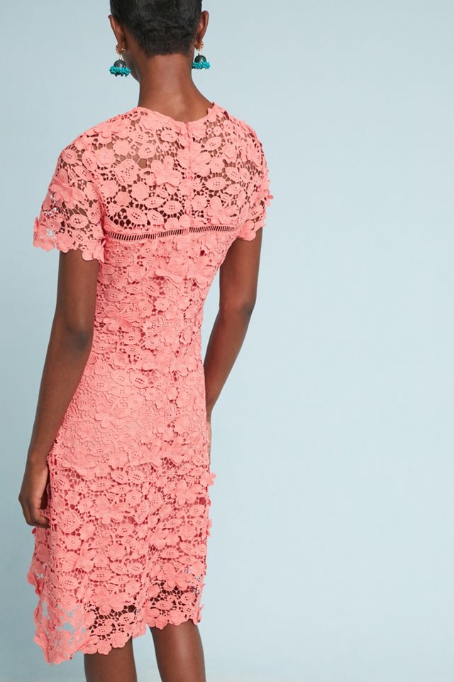Shoshanna Laced Dahlia Dress #2