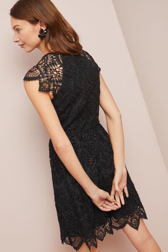 Shoshanna Mori Lace Dress #1