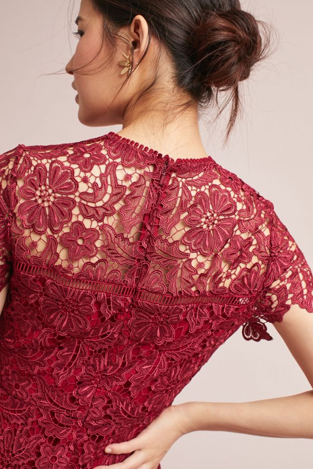 Rowena Lace Dress #5