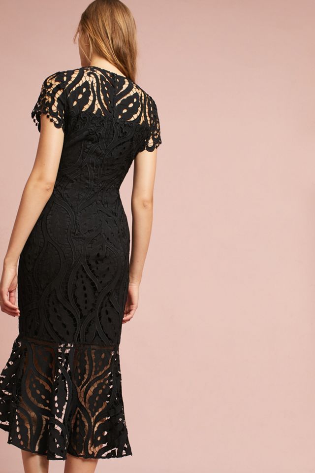 Zinnia Lace Dress #2