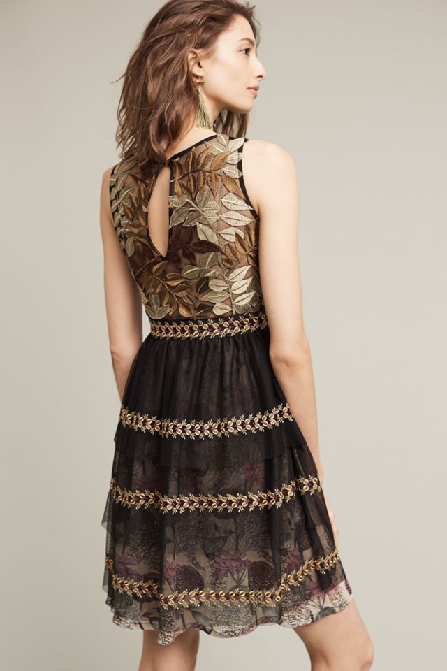 Embroidered Vigne Dress #3