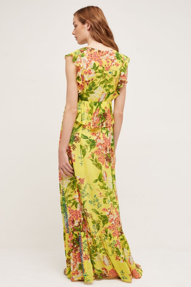 Sungrove Maxi Dress #3