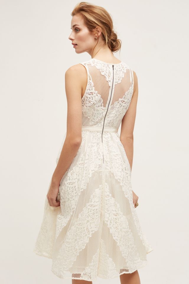 Garden Party Lace Dress #1