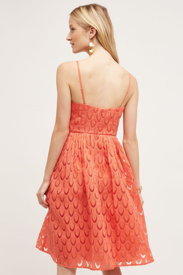 Prima Midi Dress #1