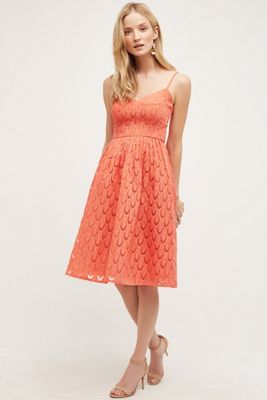 Prima Midi Dress