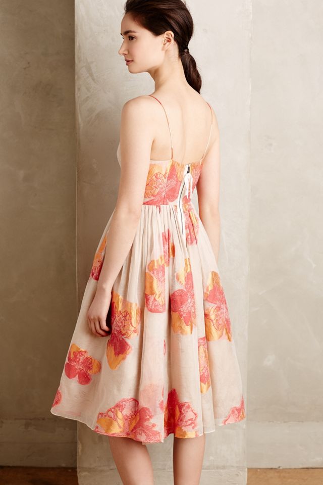 Blazing Hibiscus Dress #1