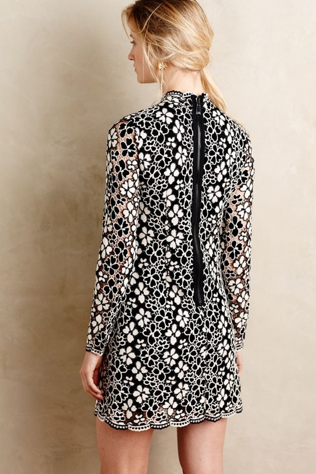 Trilling Daisies Lace Shift #1