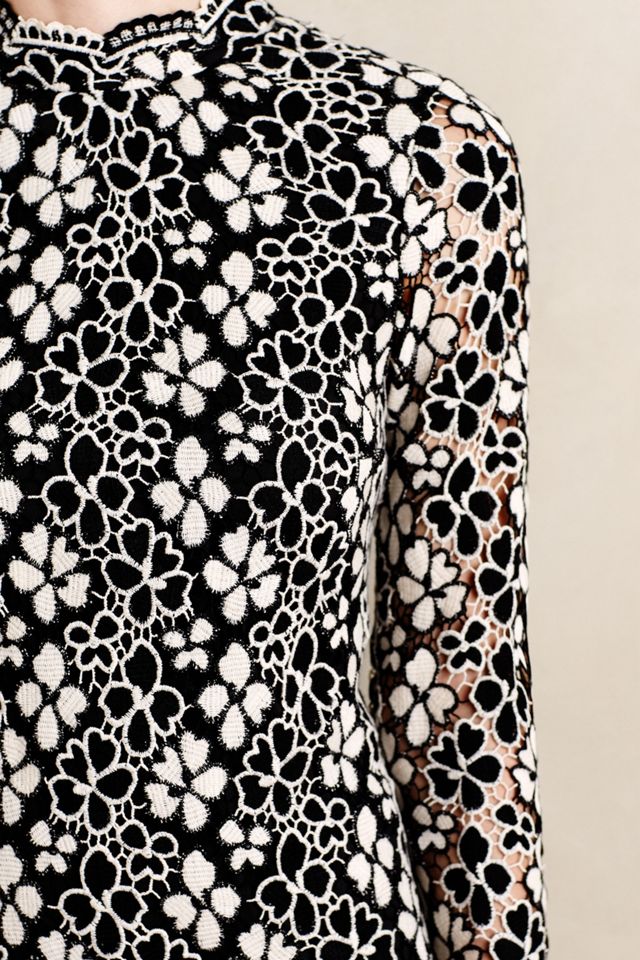 Trilling Daisies Lace Shift #2