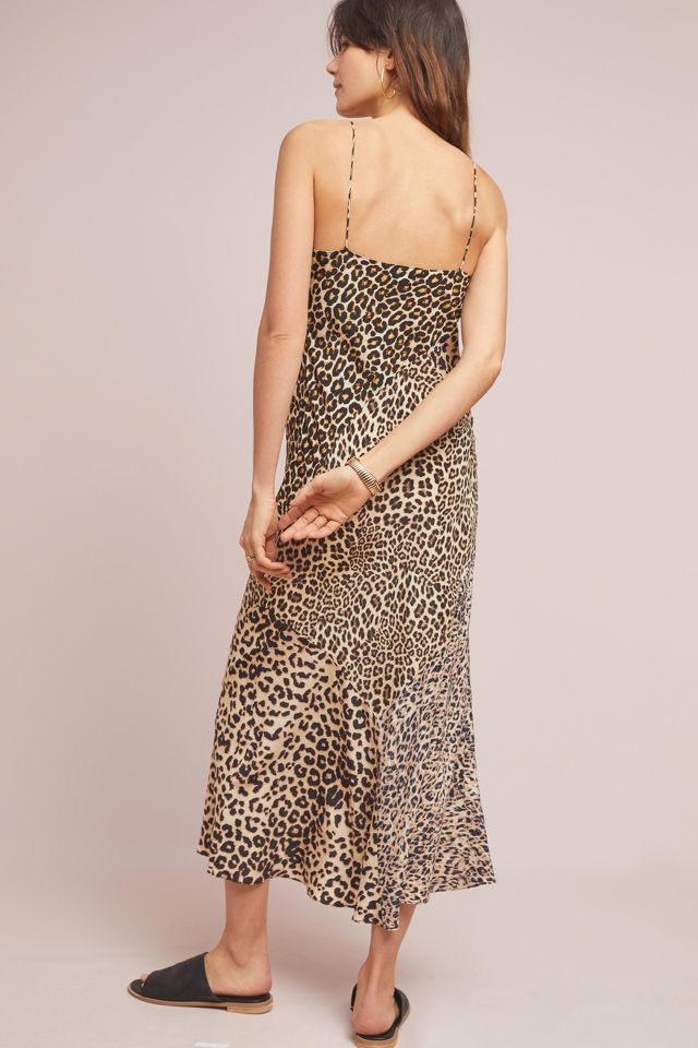 Anthropologie animal shop print dress