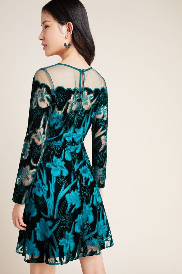 Juliet Embroidered Velvet Mini Dress #1