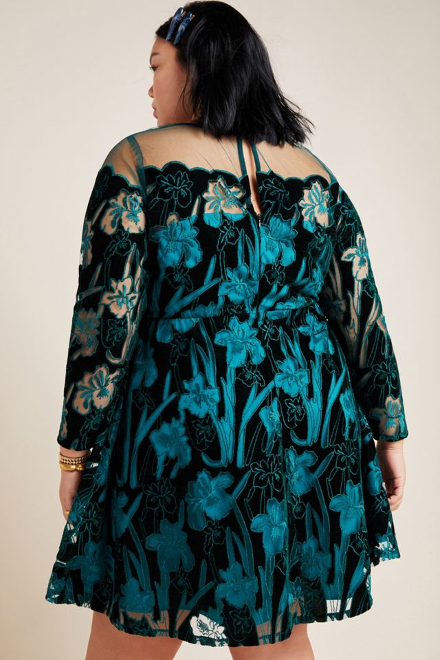 Juliet Embroidered Velvet Mini Dress #4