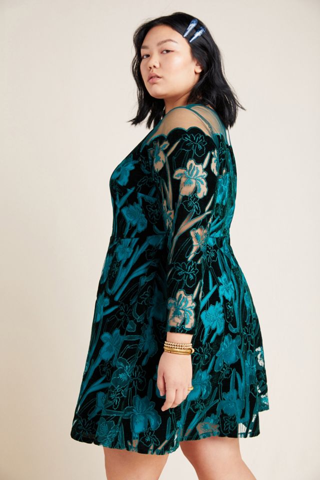 Juliet Embroidered Velvet Mini Dress #6