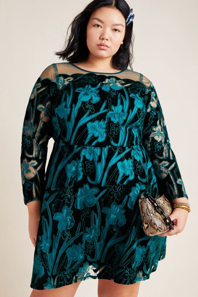 Juliet Embroidered Velvet Mini Dress #3