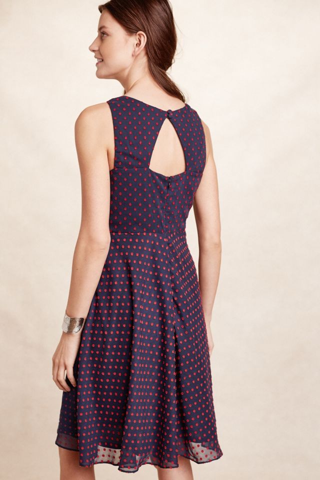 Ruffled Clipdot Dress #2