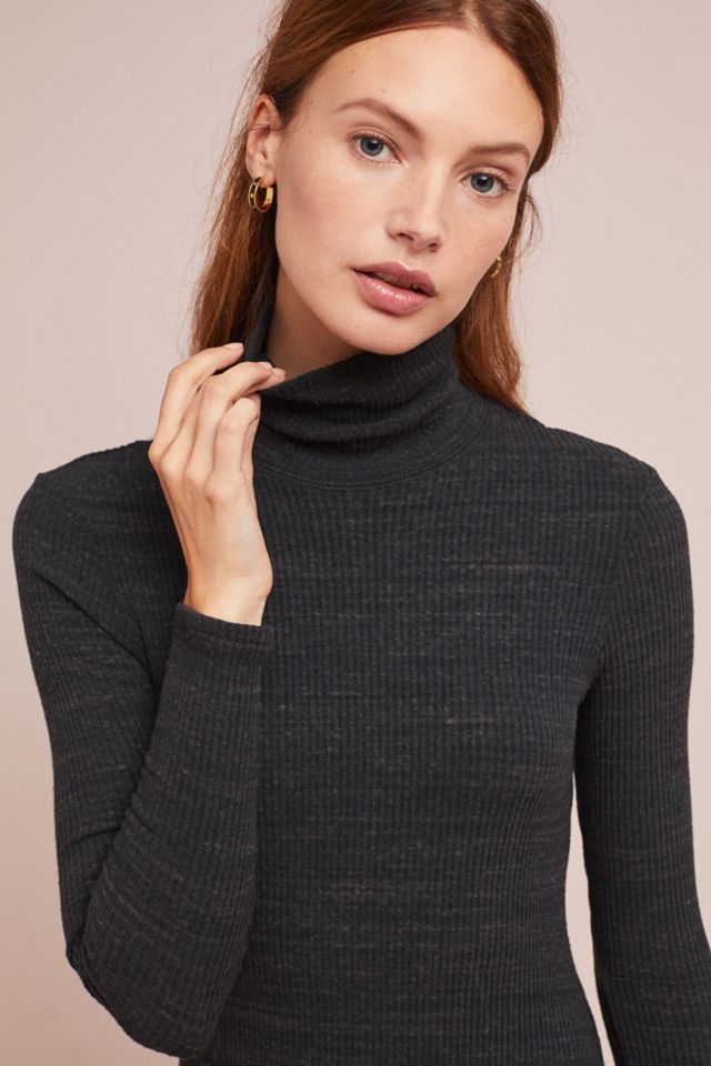 Petite Turtleneck Dress #1