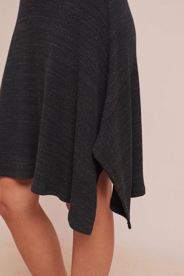 Petite Turtleneck Dress #2