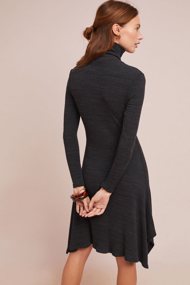 Petite Turtleneck Dress #3
