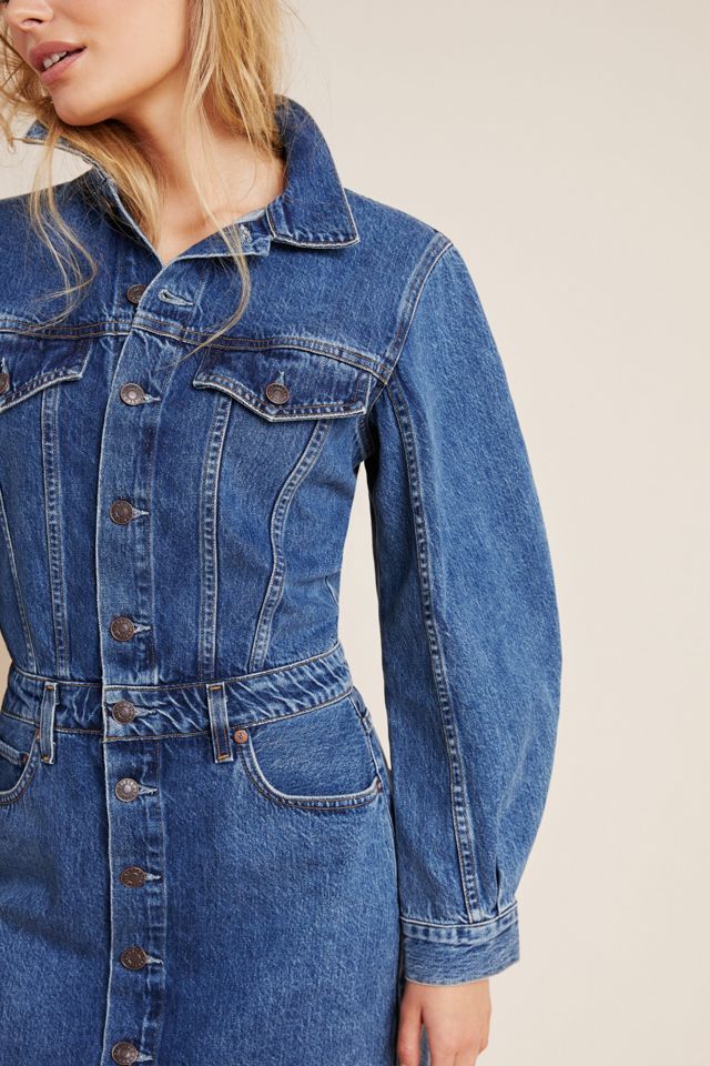 AGOLDE Denim Mini Dress | Anthropologie