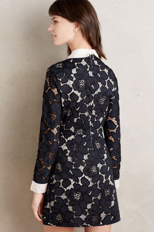 paul and joe sister lace dress Paul & Shark Napolitana cotton dress
