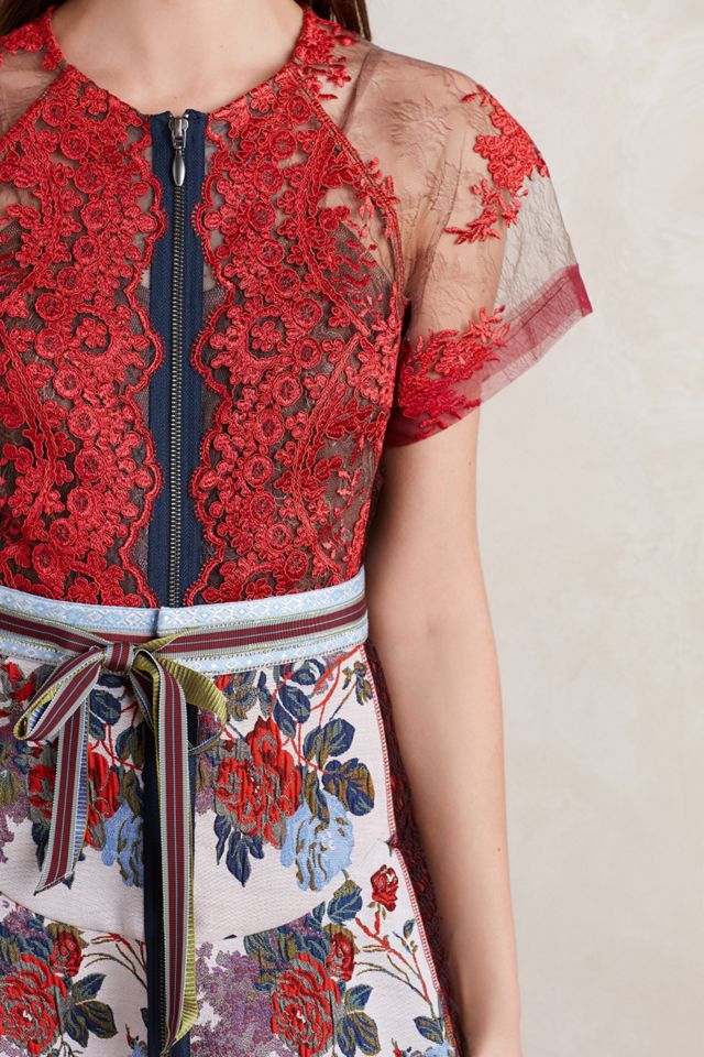 Winter Rose Dress #3