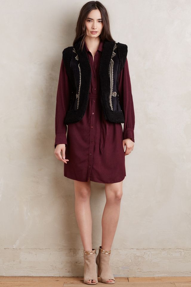 Hearth Shirtdress #2