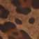Brown Pattern