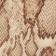 Sand Snake
