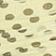 Wild Lime Dot