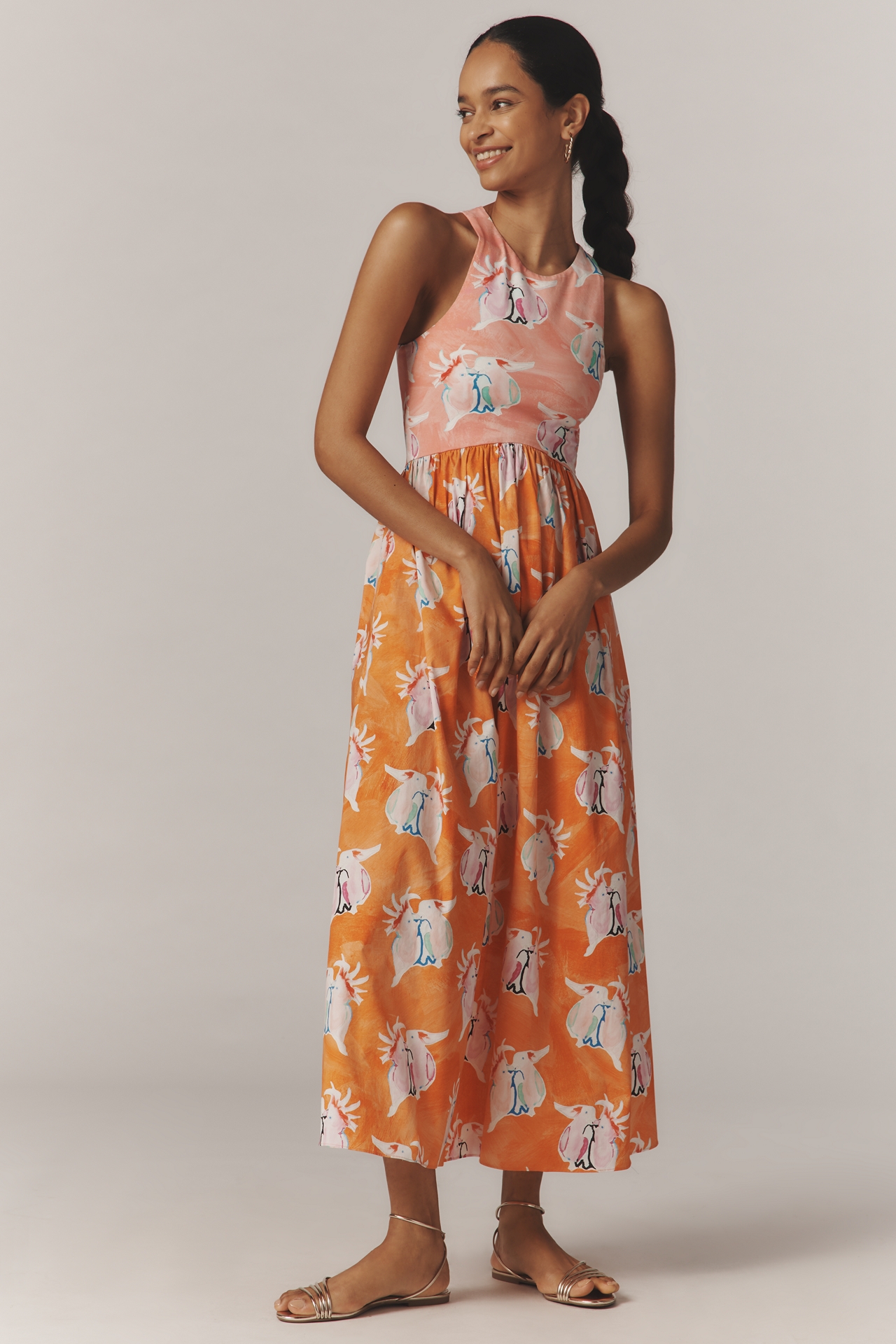 Rachel Antonoff Reese Printed A-Line Maxi Dress