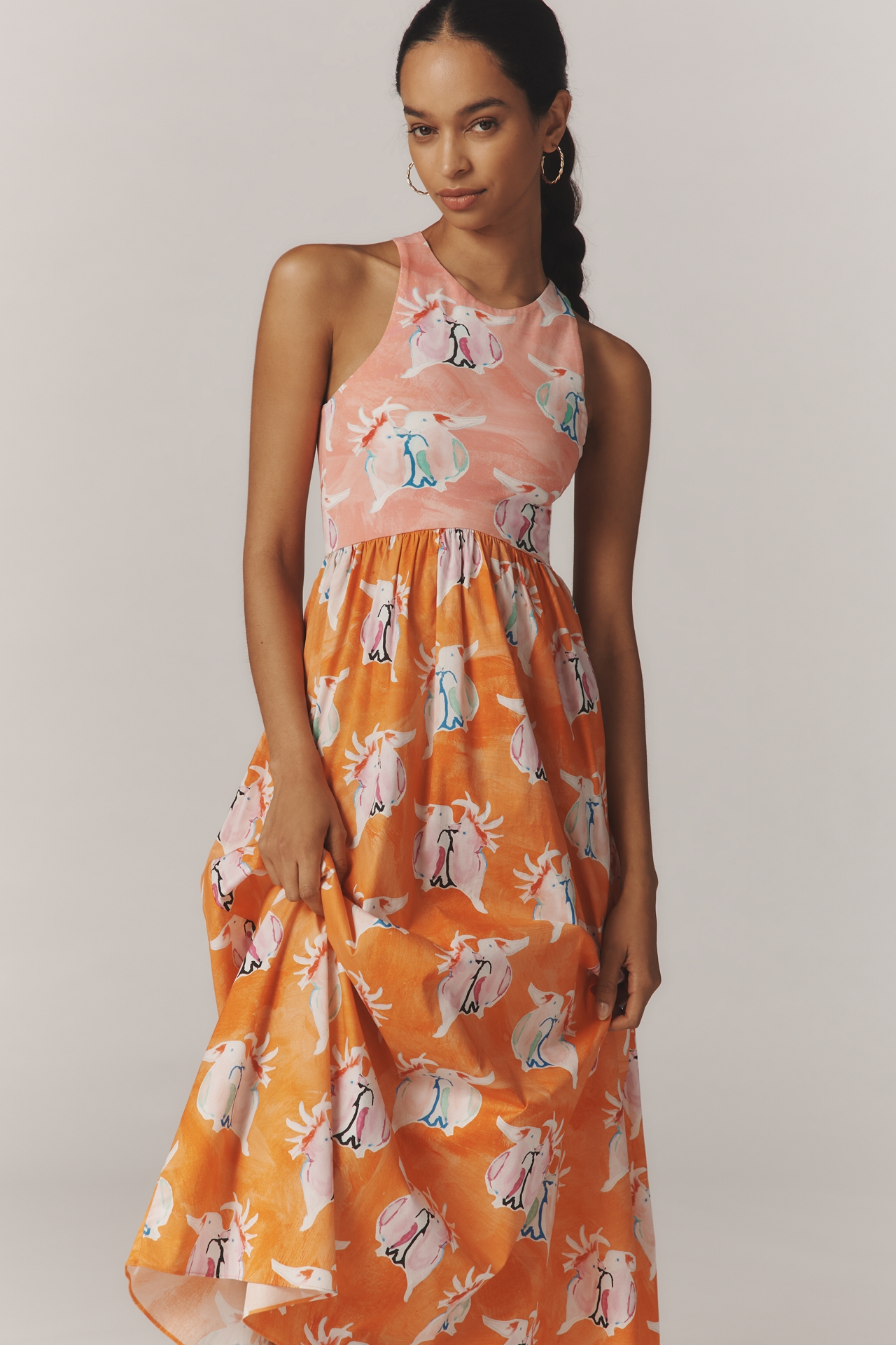 Rachel Antonoff Reese Printed A-Line Maxi Dress