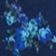 Blue Pattern