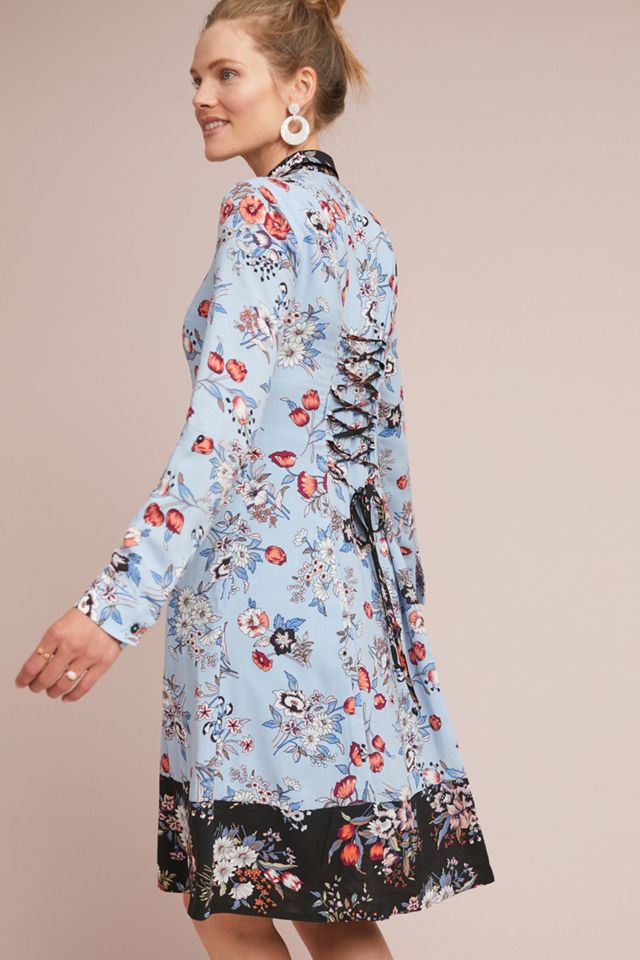 Leyster Shirtdress #1