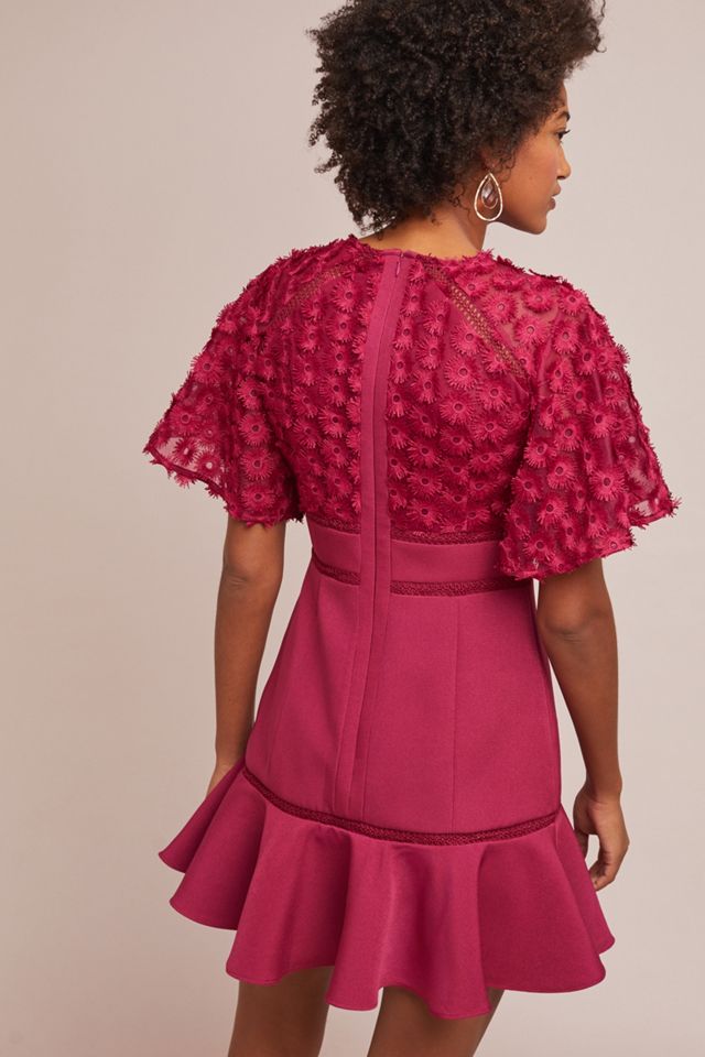 Rosabelle Mini Dress #1