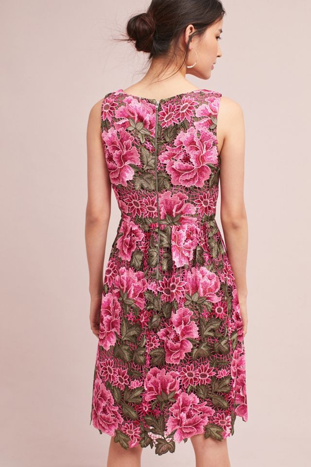 Lalia Lace Dress #3