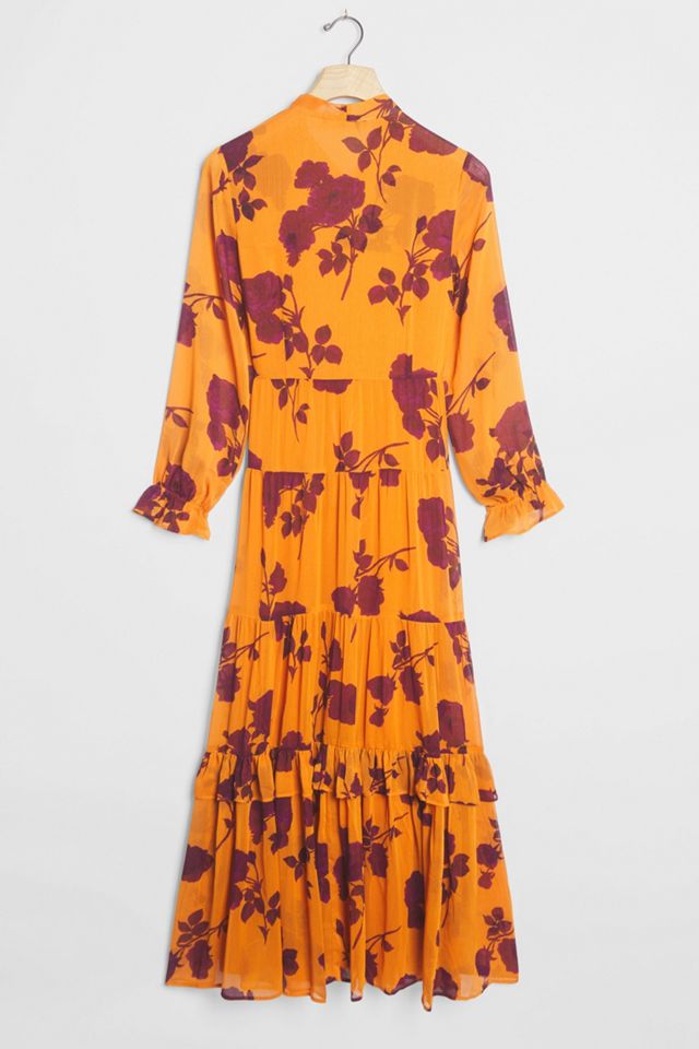 Rosalita Sheer Maxi Dress #2