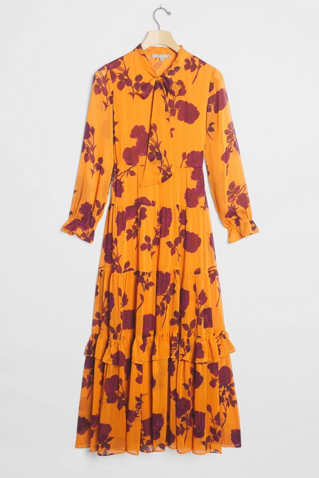 Rosalita Sheer Maxi Dress #3