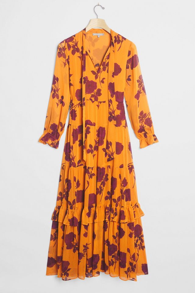 Rosalita Sheer Maxi Dress #1