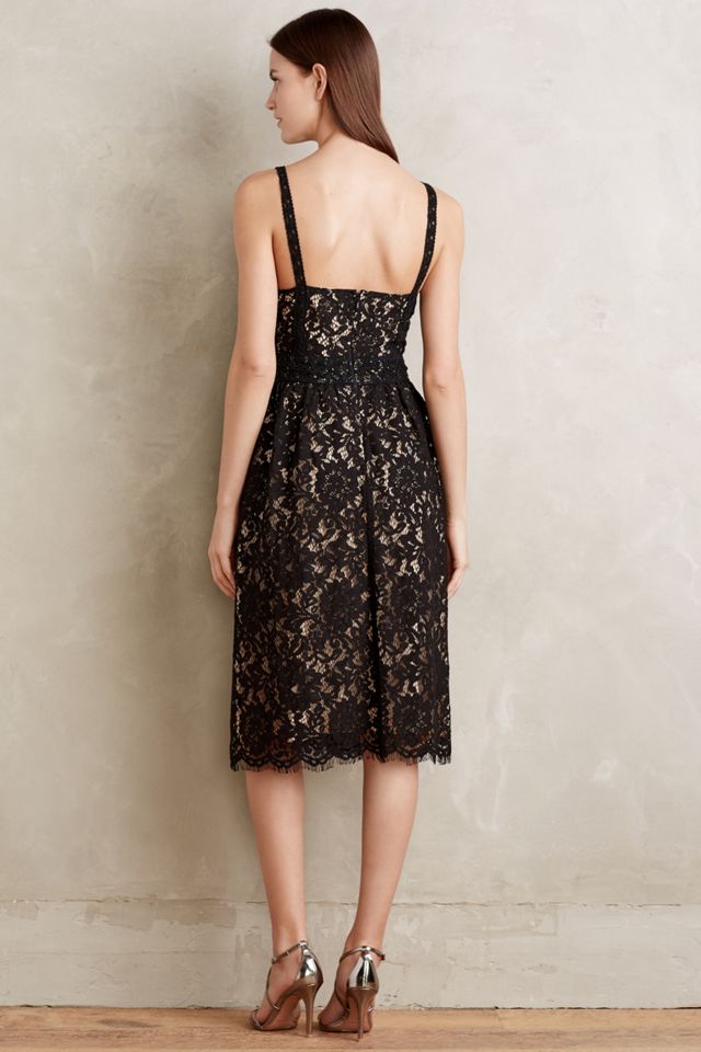 Narrante Lace Dress #1