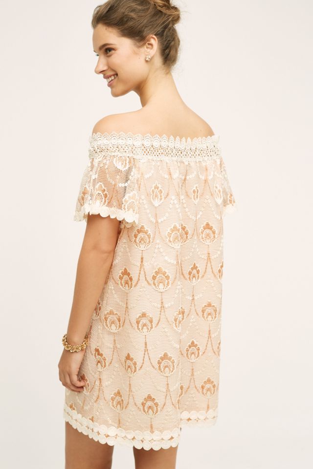 Avellanas Swing Dress #1