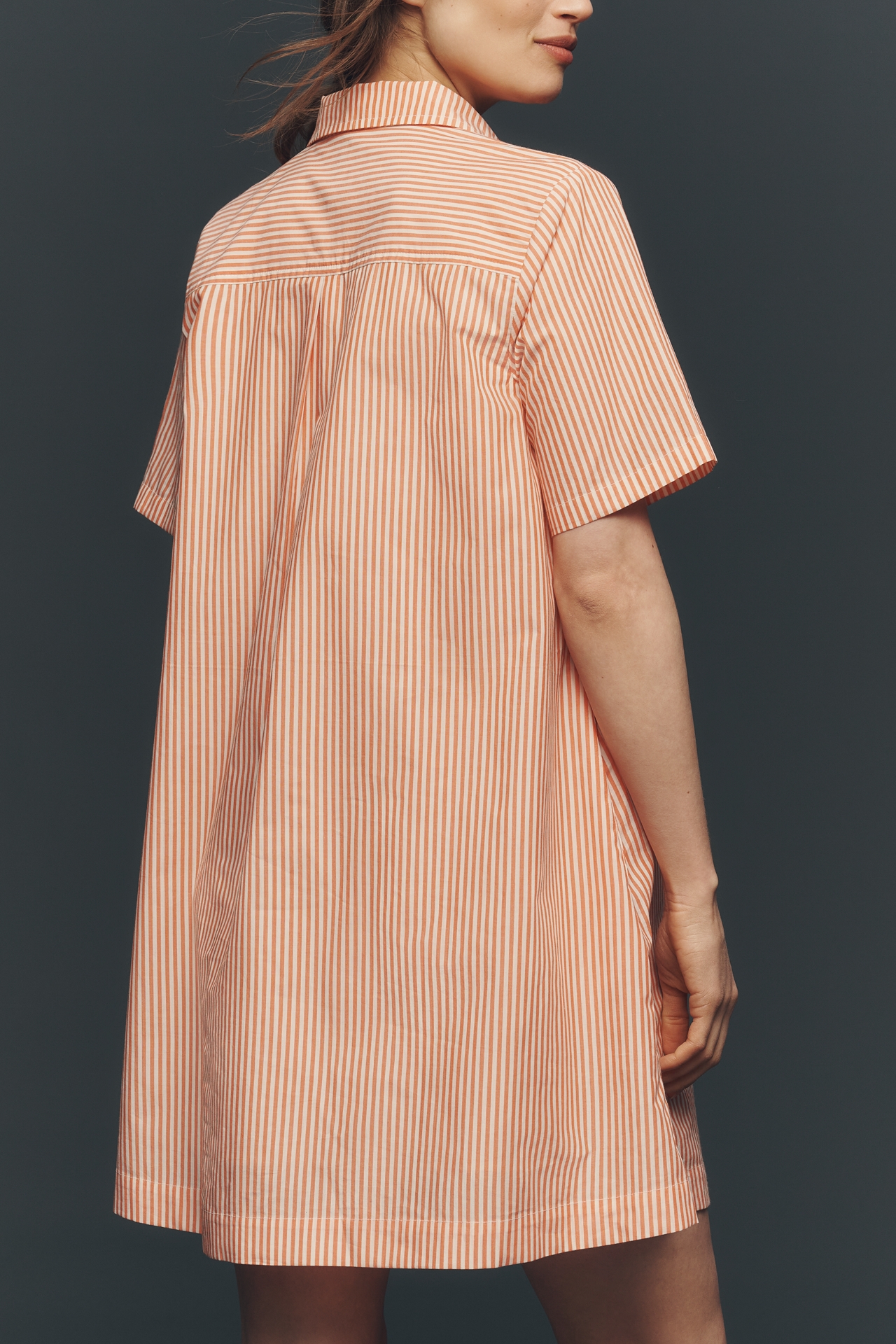 The Pollie Short-Sleeve Swing Tunic Mini Dress: Embroidered Edition