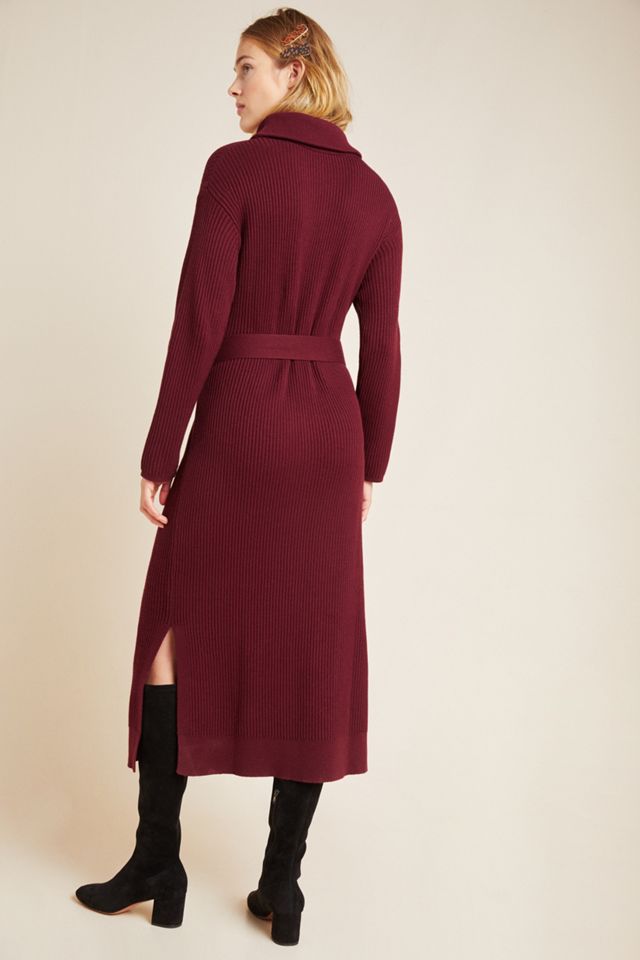 Carlotta Turtleneck Sweater Dress #1