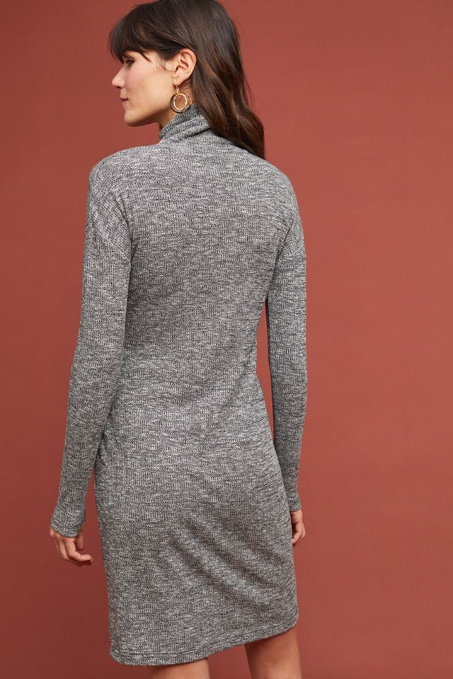 Olivia Turtleneck Dress #1