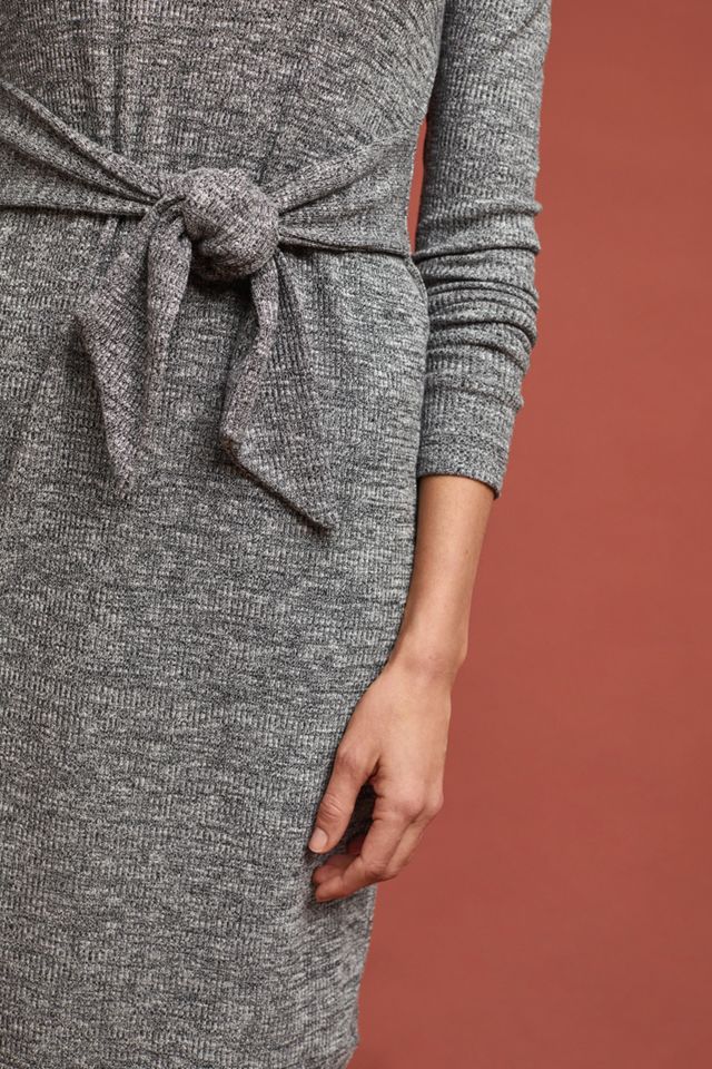 Olivia Turtleneck Dress #2