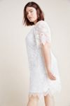 knee length dresses for ladies Anthropologie (Hutch) Rose Fringed Chevron Mini Shift Dress NWT