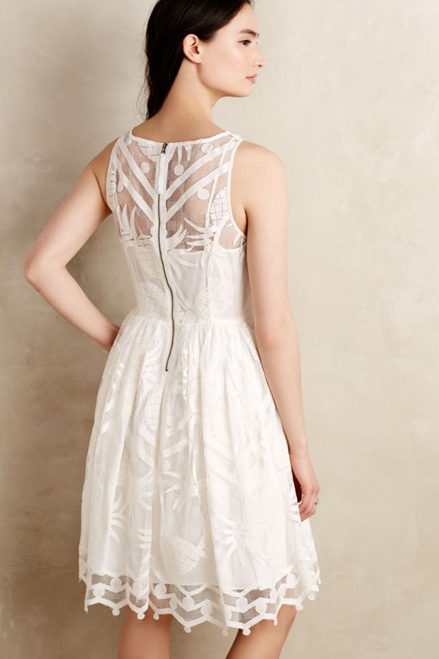 Pina Lace Dress #2