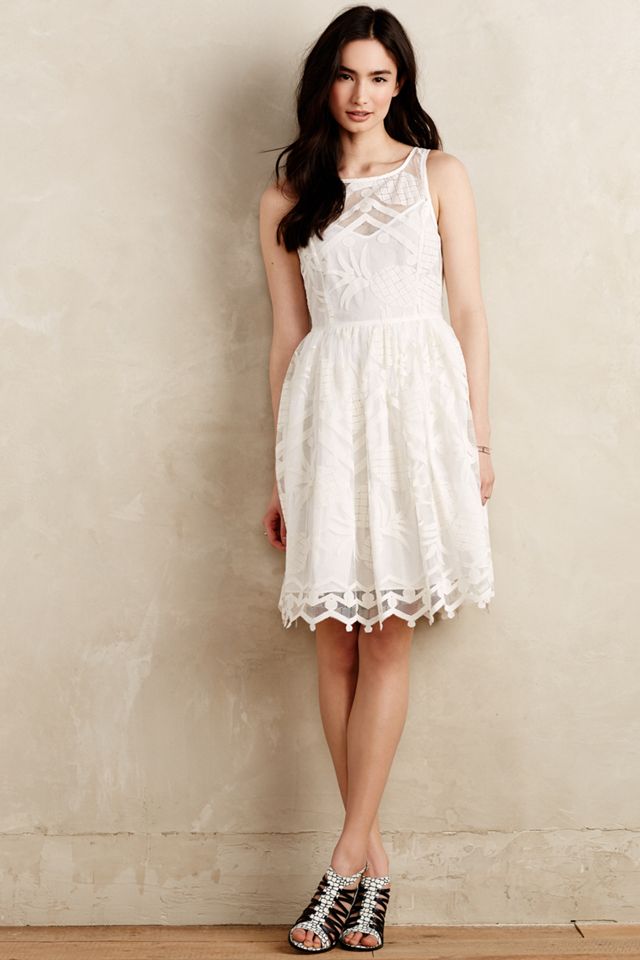 Pina Lace Dress #4
