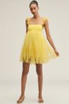 Let Me Be Eyelet Tulle Mini Dress