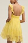 Let Me Be Eyelet Tulle Mini Dress