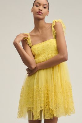 Let Me Be Eyelet Tulle Mini Dress